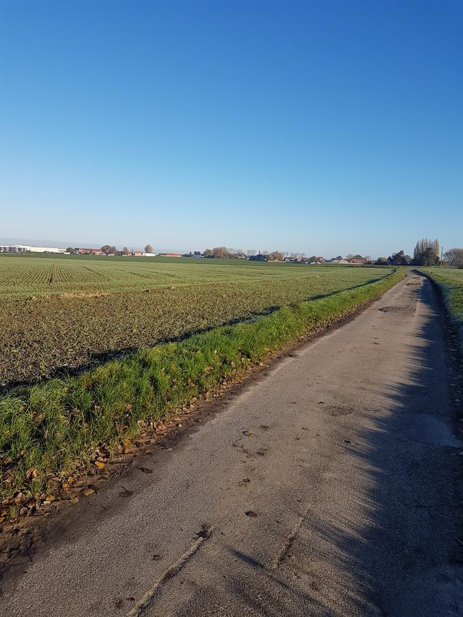 Au Cheval Noir Panzió Quaëdypre Kültér fotó